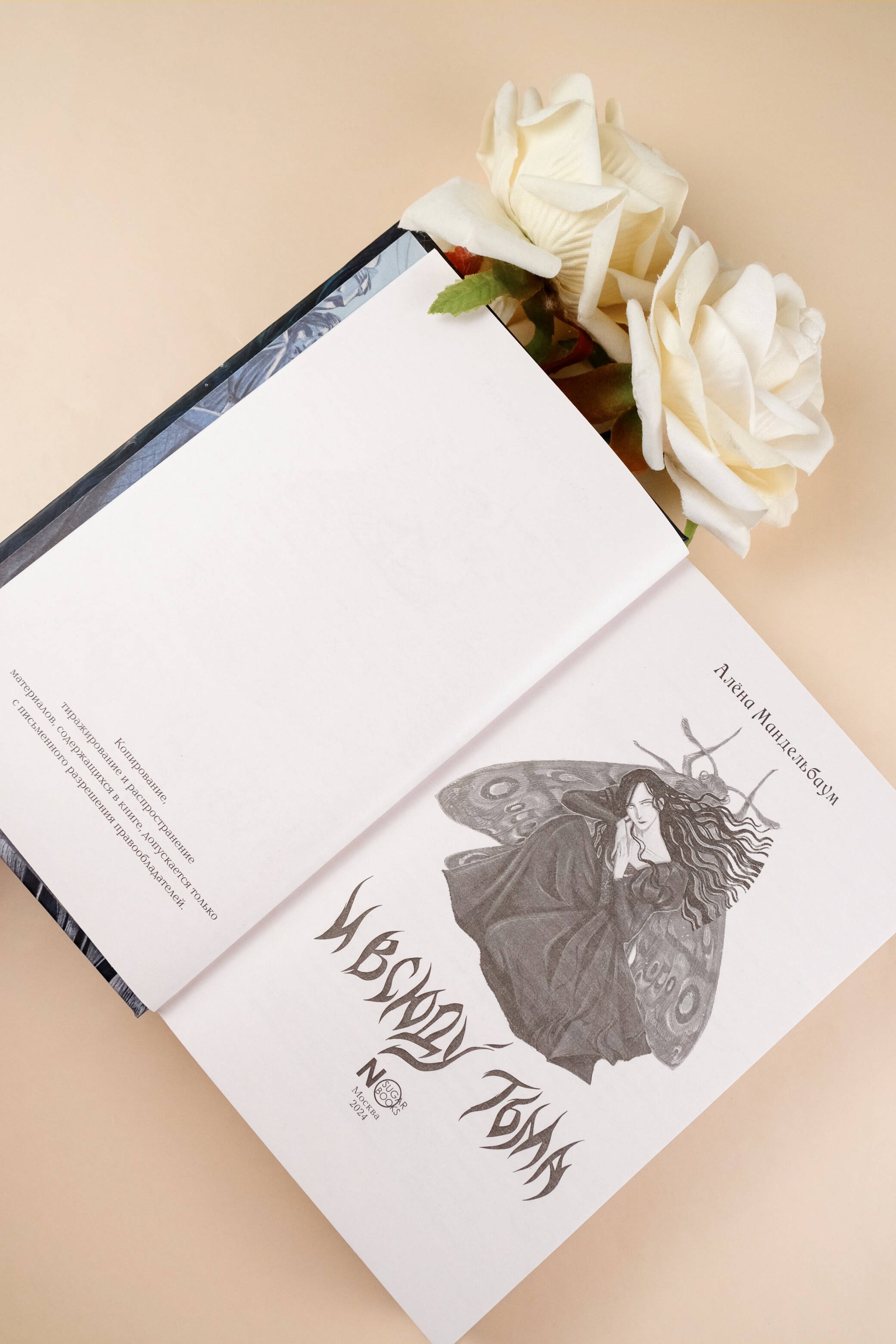 Изображение бумажной книги