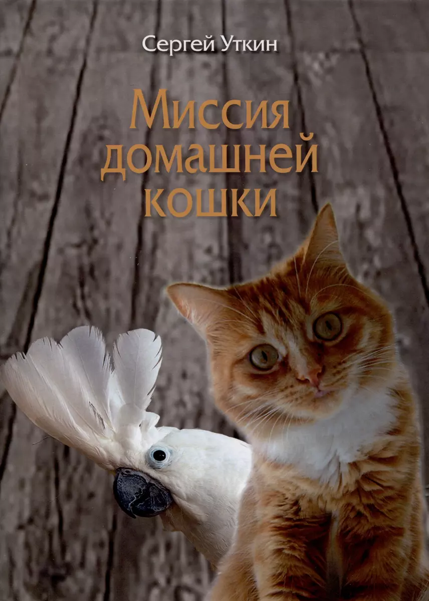 Миссия домашней кошки (Сергей Уткин) - купить книгу с доставкой в  интернет-магазине «Читай-город». ISBN: 978-5-7205-2028-1