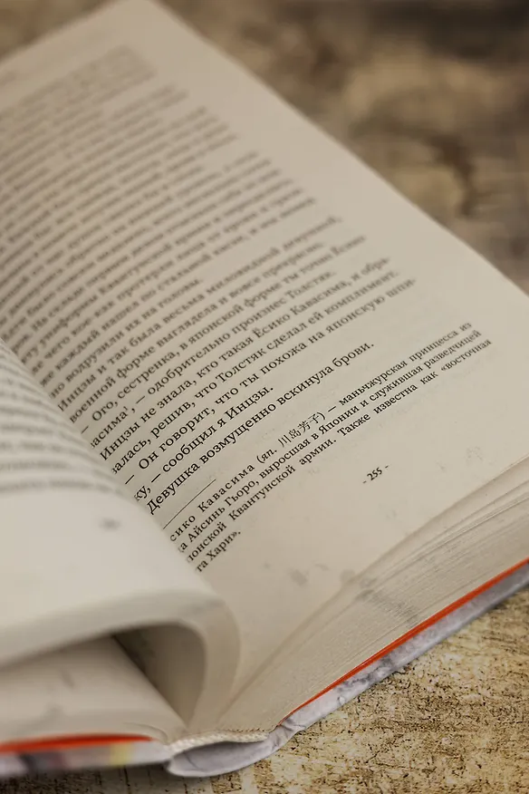 Книга Свеча в гробнице: древний город Цзинцзюэ (Бачан Тянься) — 12