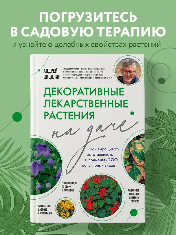 Книга Декоративные лекарственные растения на даче. Как выращивать, заготавливать и применять 200 популярных видов (Андрей Цицилин) — 5