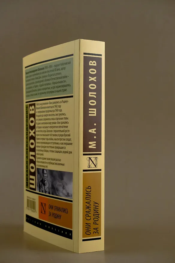 Книга Они сражались за Родину (Михаил Шолохов) — 9