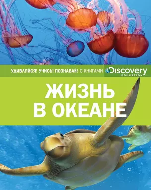 Жизнь в океане — 2620089 — 1