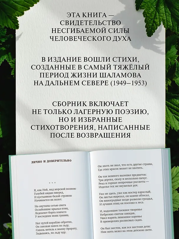 Книга «Хочу я света и покоя...» (Варлам Шаламов) — 6