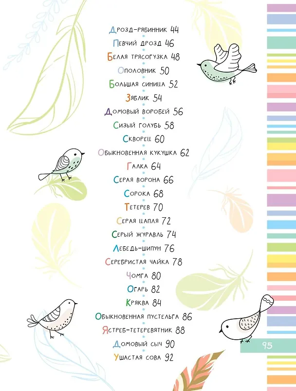 Книга Птицы (Мария Рахчеева) — 11
