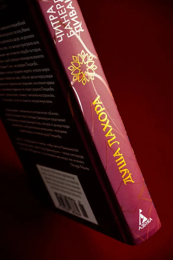 Книга Душа Лахора (Читра Банерджи Дивакаруни) — 11