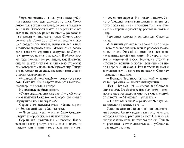 Книга Ослепление (Эрин Хантер) — 11