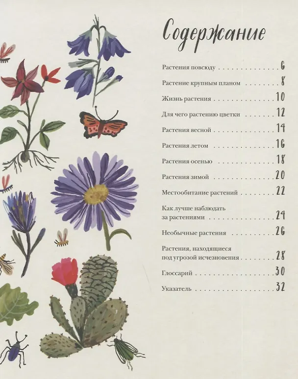 Книга Природа вокруг нас: Растения. Деревья (Памела Хикман) — 11