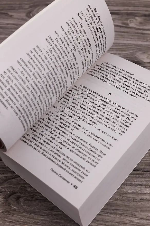 Книга Песнь Сюзанны: из цикла "Темная Башня" : роман (Стивен Кинг) — 8