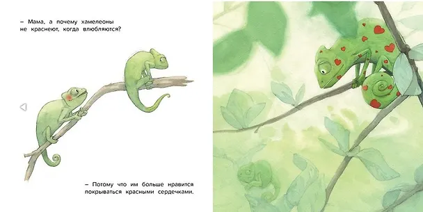 Книга Мама, а почему? (Квентин Гребан) — 5