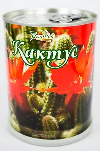 Цветок в банке "Кактус" (410466)