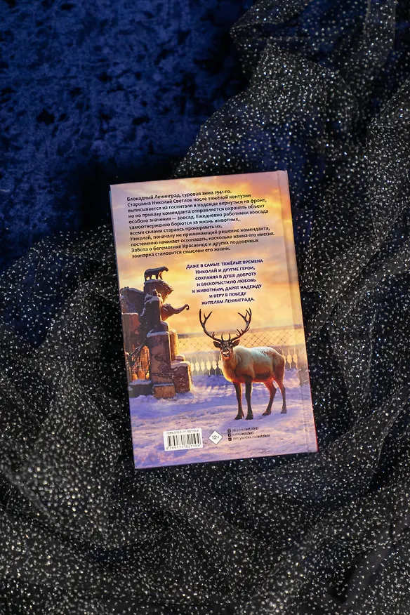 Книга Красавица () — 11