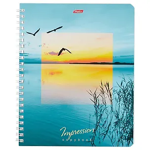 Тетрадь в клетку Hatber, Impressions, 80 листов, в ассортименте 246859