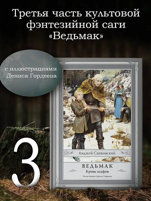 Книга Ведьмак: Кровь эльфов (Анджей Сапковский) — 5