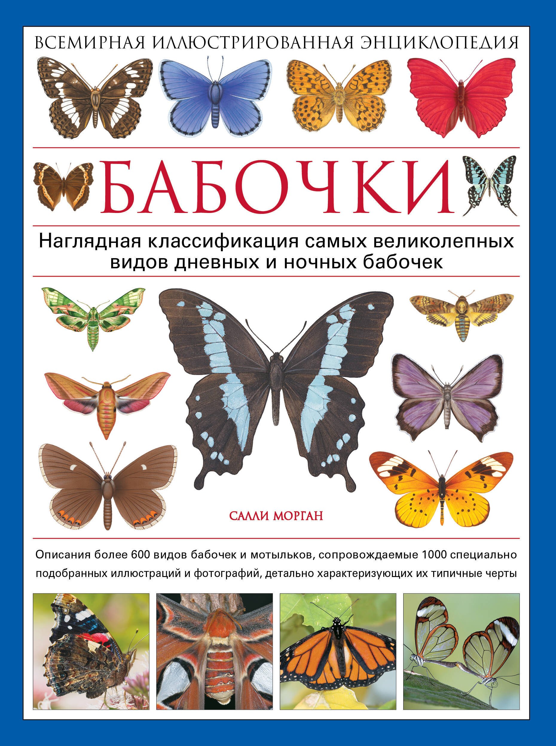Мишель Бове: Бабочки! Маленькая энциклопедия. Обаятельная книжка о красивом существе
