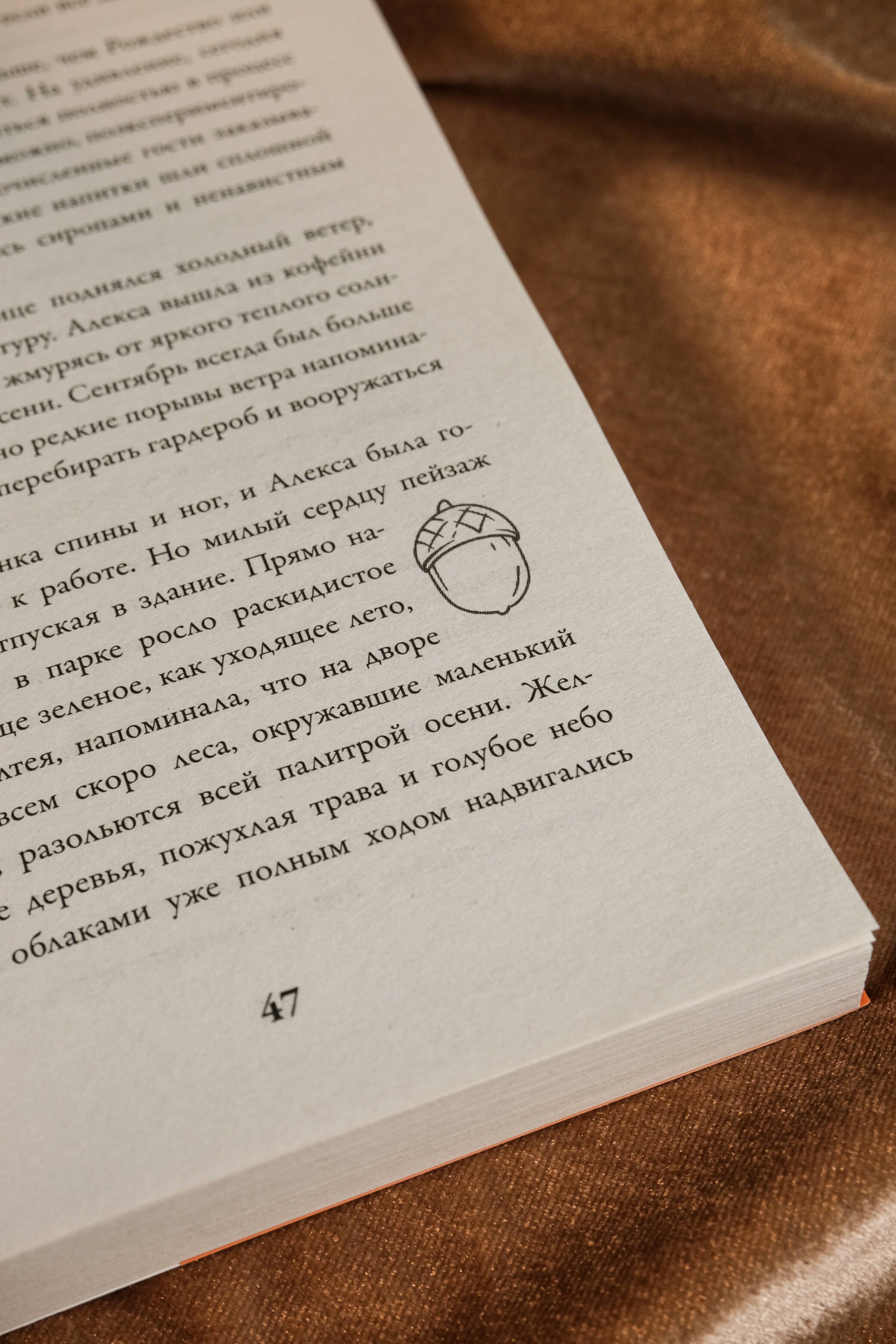 Изображение бумажной книги