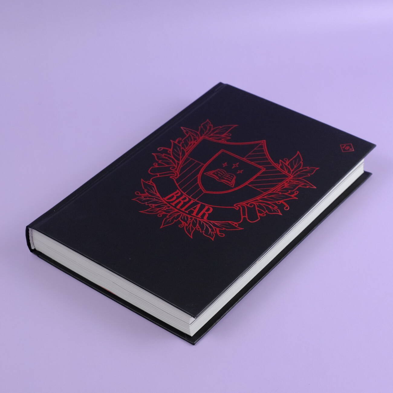 Изображение бумажной книги