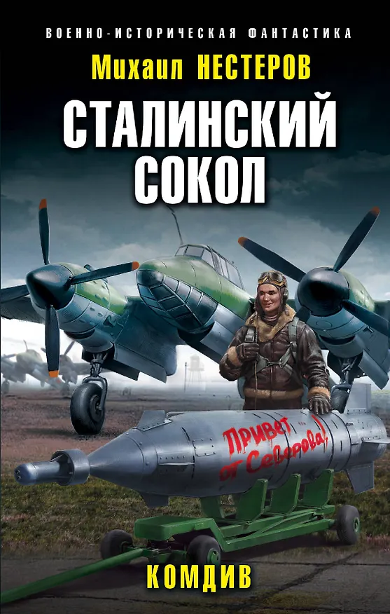Книга Сталинский сокол. Комдив (Михаил Нестеров) — 1