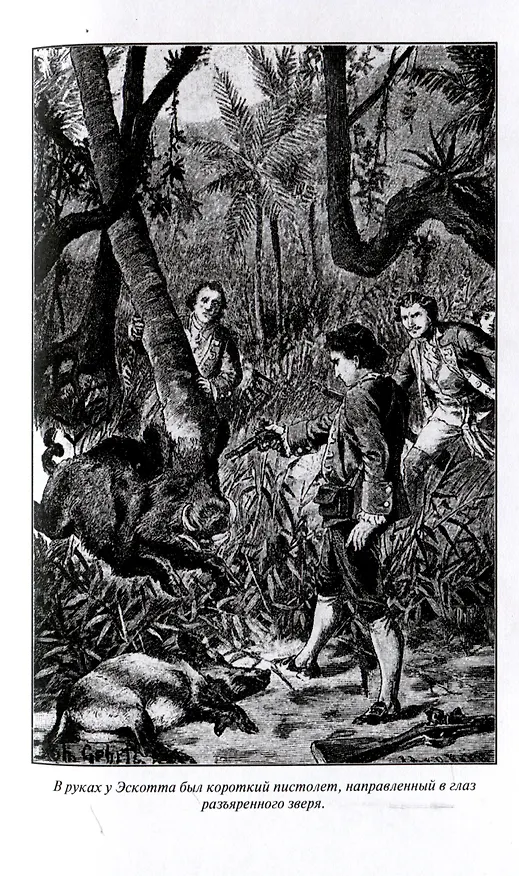 Книга Из Англии в Австралию Том 1 (Софи Ворисгофер) — 3