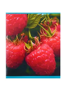 Тетрадь в клетку Unnika, "Оттенки природы", 48 листов, в ассортименте