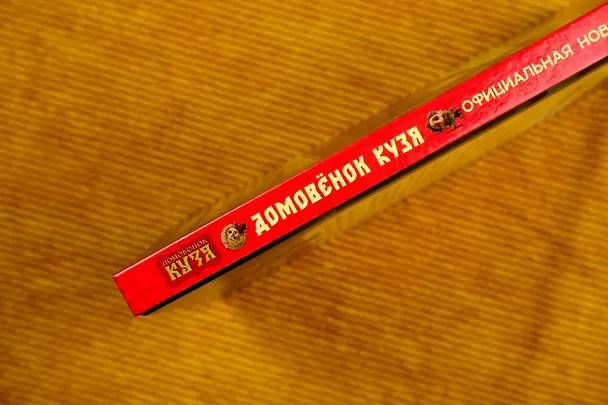 Книга Домовёнок Кузя. Официальная новеллизация (Ирина Данилова) — 9