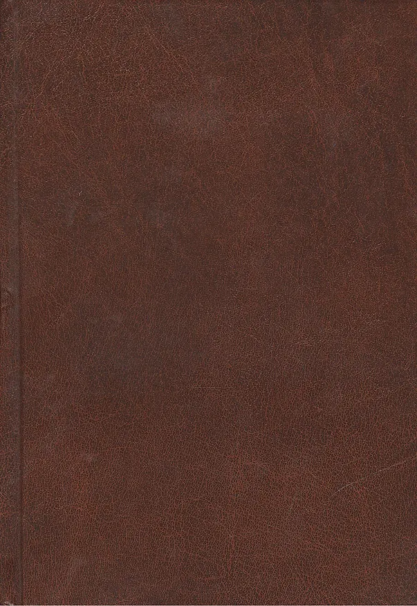 Ежедневник недат. А5 192л "Коричневый (фактура) (NEW)" бумвинил, бел.блок, Listoff 226819 — 2