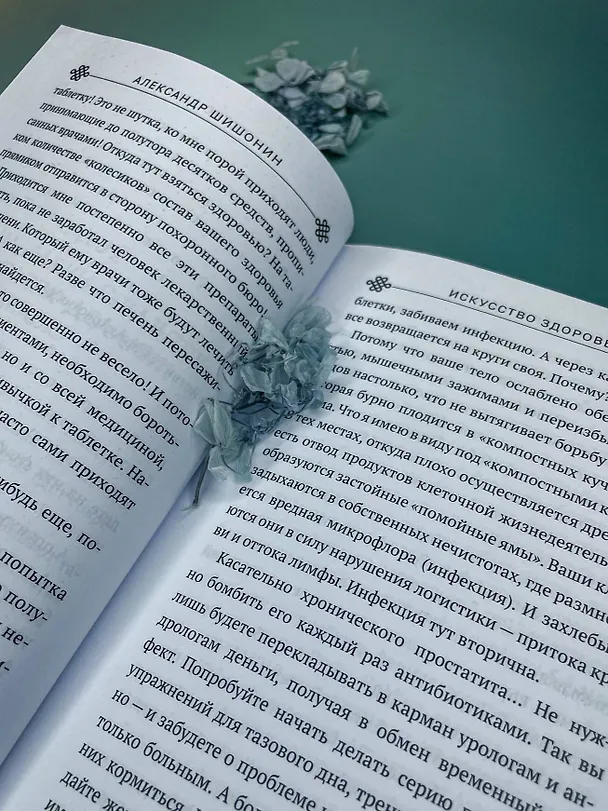 Книга Искусство здоровья. Ваш путь к здоровью и долголетию (Александр Шишонин) — 16
