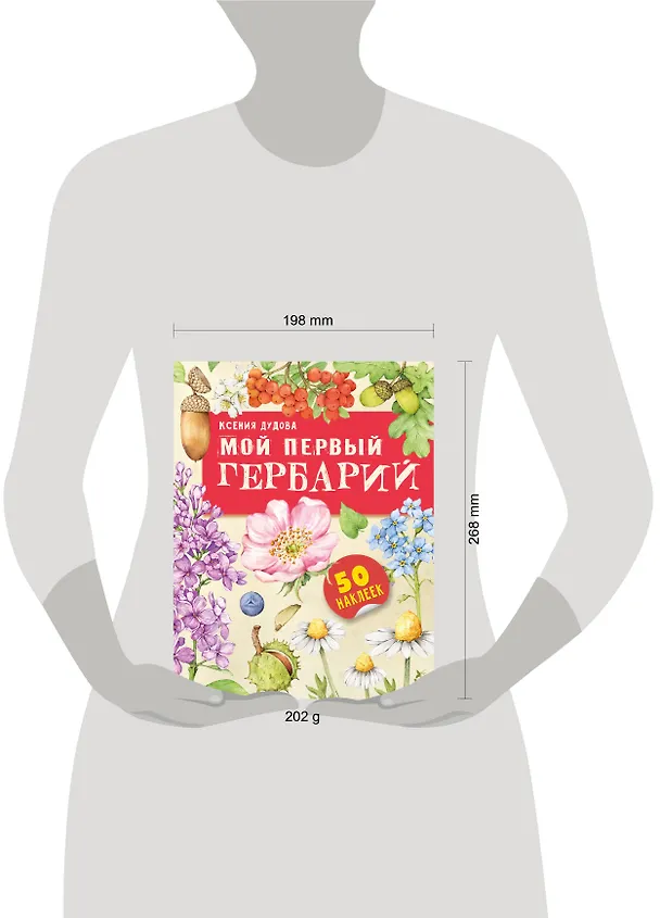 Книга Мой первый гербарий (Ксения Дудова) — 8
