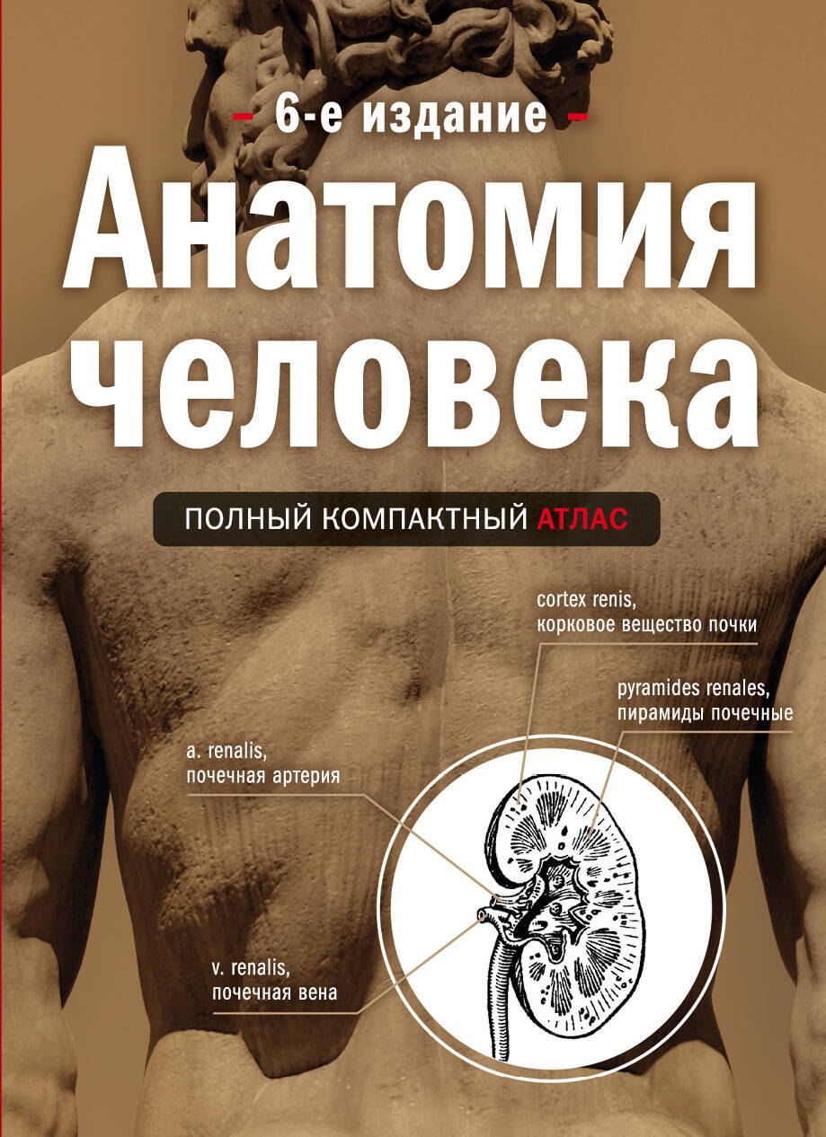 

Анатомия человека: полный компактный атлас. 6-е издание