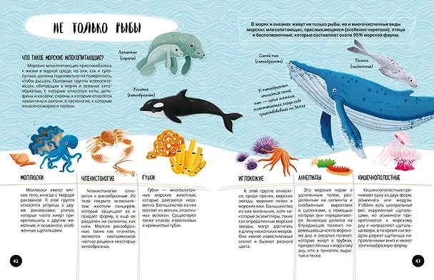 Книга Что? Как? Почему? Мои первые знания про МОРЯ И ОКЕАНЫ (с постером) () — 11