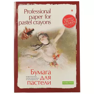 Папка для пастели «Professional», 20 листов, А4 — 235655 — 1