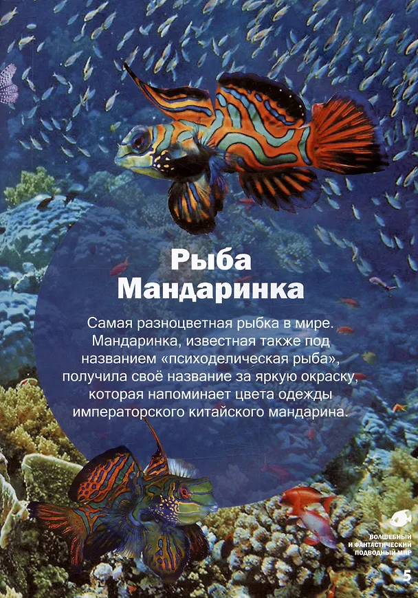 Книга Волшебный и фантастический подводный мир (Василий Климов) — 3