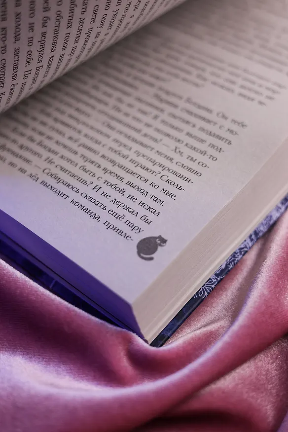 Книга Прятки в темноте (Элен Боннет) — 16