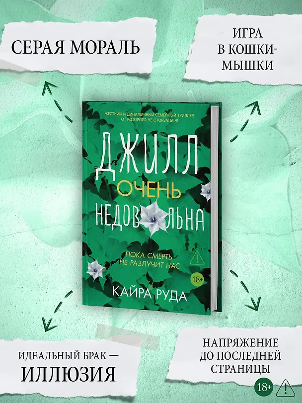 Книга Джилл очень недовольна (Кайра Руда) — 6