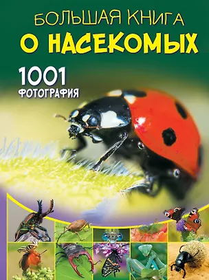 Книга Большая книга о насекомых. 1001 фотография (Анна Спектор)