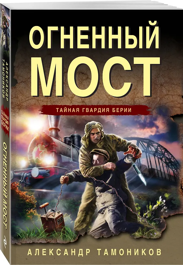 Книга Огненный мост (Александр Тамоников) — 4