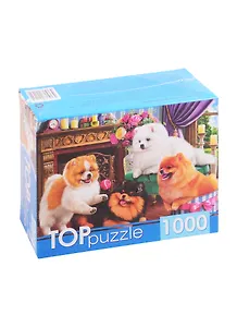 Пазл Игривые шпицы 1000 элементов TOPpuzzle ХТП1000-4145