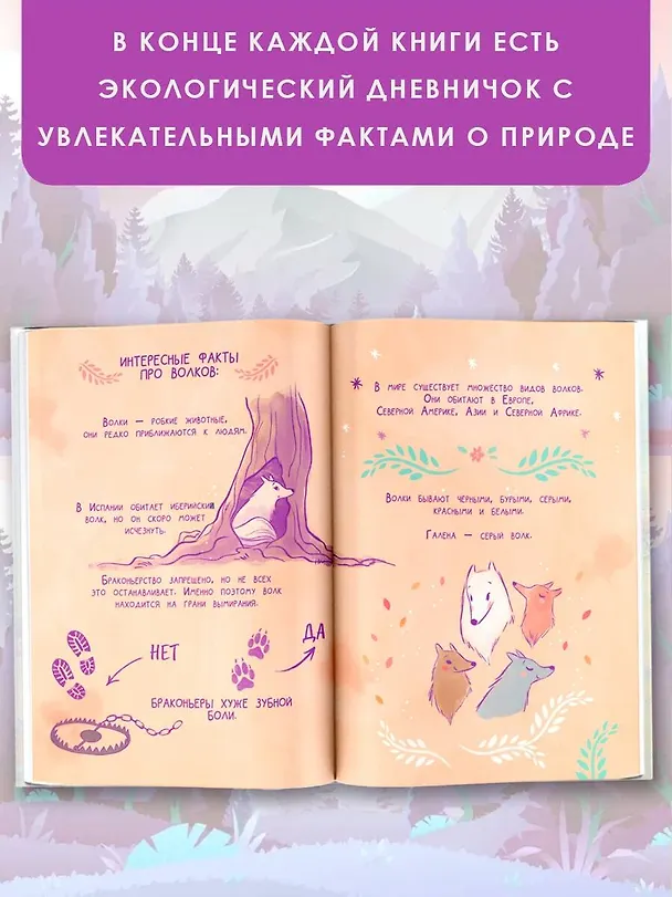 Книга Ведьмочка Лили. Хранительница леса (Алисия Теба) — 8
