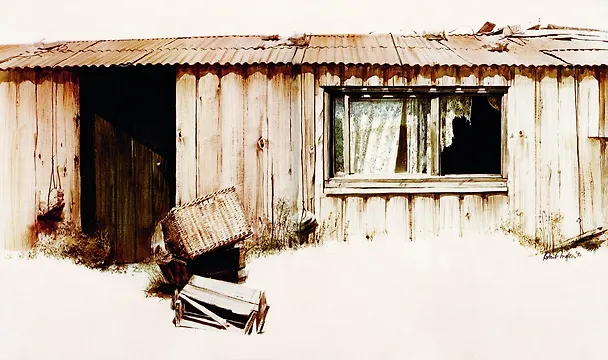 Книга Штормик и мистер Персиваль (Колин Тиле) — 8