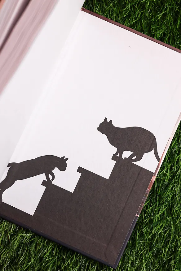 Книга Она и ее кот. Ранобэ (Макото Синкай, Наруки Нагакава) — 13