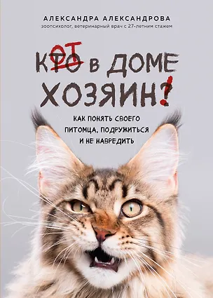 Книга Кот в доме хозяин! Как понять своего питомца, подружиться и не навредить (новое оформление) (Александра Александрова)