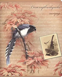 Тетрадь 48л кл. "ПТИЦЫ" конгрев + выб.УФ-лак, ассорти, Феникс