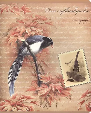 Тетрадь 48л кл. "ПТИЦЫ" конгрев + выб.УФ-лак, ассорти, Феникс 231167