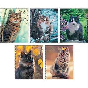 Тетрадь в клетку Unnika, "Прекрасные и пушистые (кошки)", А5, 96 листов