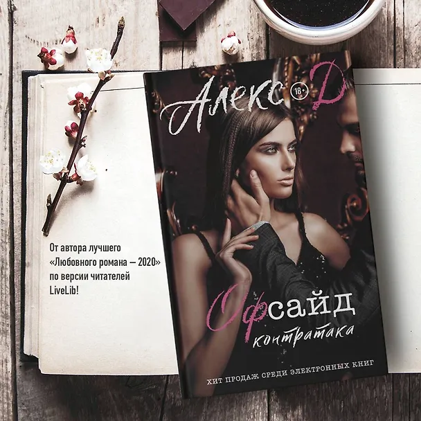 Книга Офсайд. Контратака (Алекс Д.) — 5