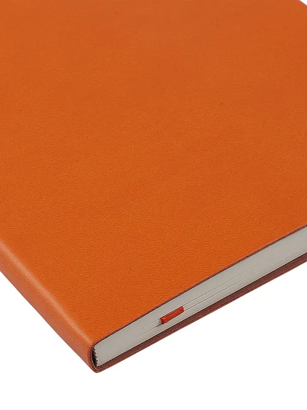 Книга для записей А5, 100 листов в клетку, оранжевая, Schiller 3031820 — 12