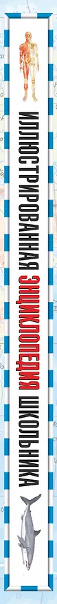Книга Иллюстрированная энциклопедия школьника (Виктория Чуткова) — 3