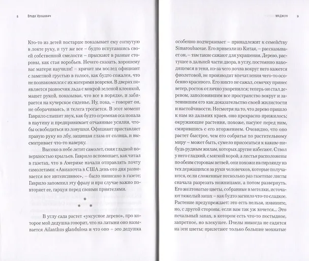 Книга Маджун (свет детства, цвет детства, завет детства) (Влада Урошевич) — 3