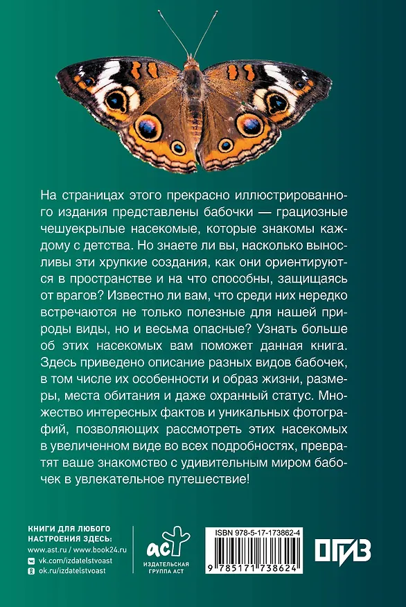 Книга Бабочки. Иллюстрированный гид (Анна Спектор) — 2