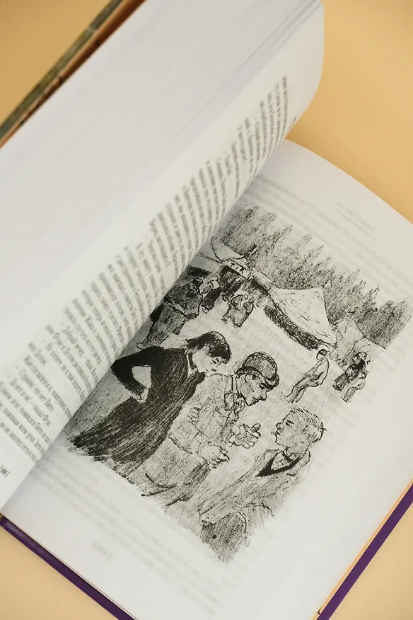Книга Нана. Земля (Эмиль Золя) — 15