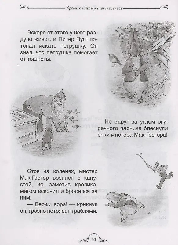 Книга Кролик Питер и все-все-все () — 6
